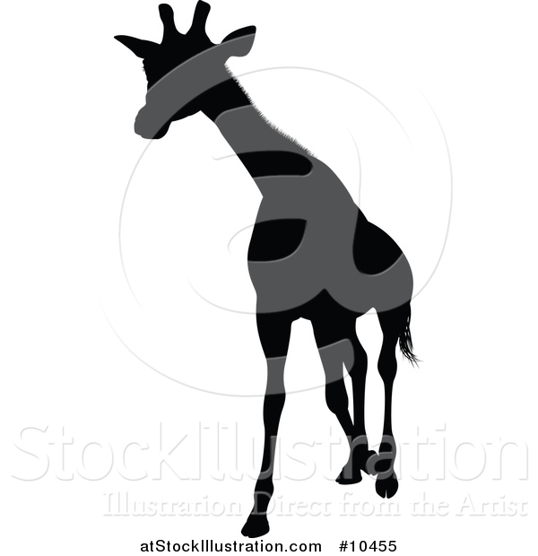 Vector Illustration of a Black Silhouetted Giraffe Walking