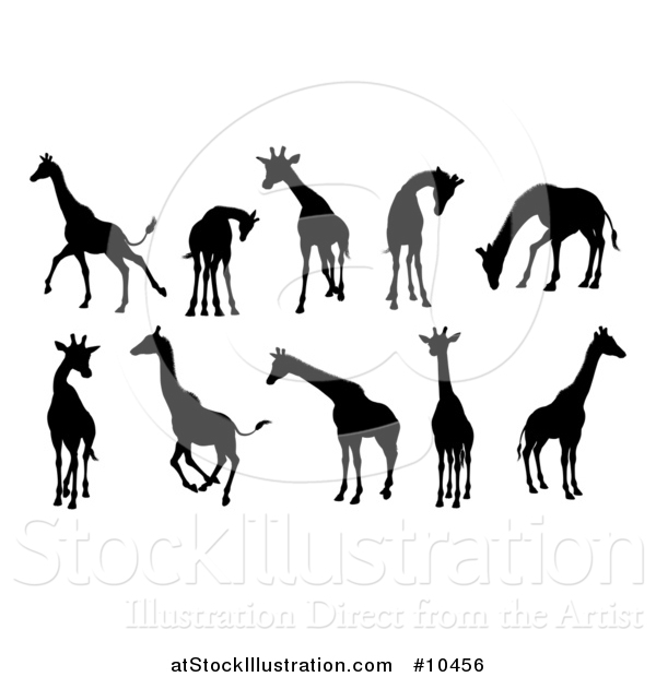 Vector Illustration of a Black Silhouetted Giraffes