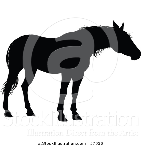 Vector Illustration of a Black Silhouetted Horse