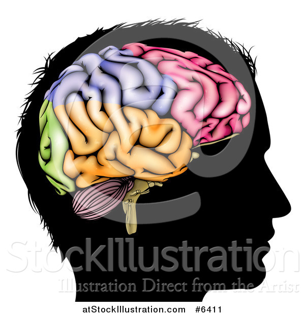 Vector Illustration of a Black Silhouetted Man's Head in Profile with a Visual Brain Showing Different Colored Sections