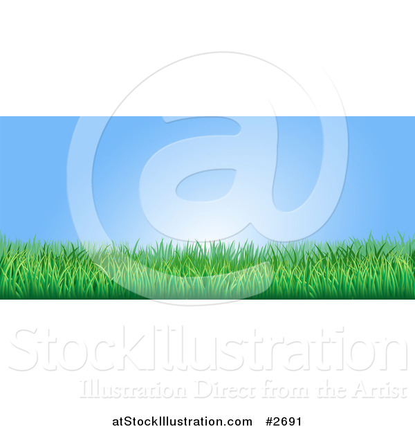 Vector Illustration of a Blue Sky and Green Grass Website Banner