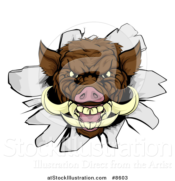 Vector Illustration of a Brown Boar Head Breaking Through a Wall