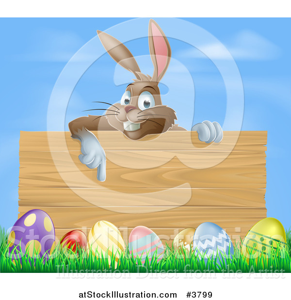 Vector Illustration of a Brown Easter Bunny Rabbit Pointing down at a Wood Sign over Eggs in Grass