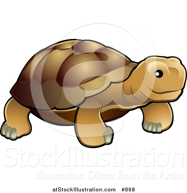 Vector Illustration of a Brown Tortoise with a Dark Shell