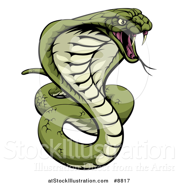 Vector Illustration of a Cartoon Angry Green King Cobra Snake Ready to Strike