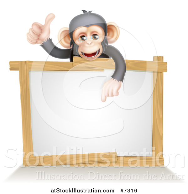 Vector Illustration of a Cartoon Black and Tan Happy Baby Chimpanzee Monkey Giving a Thumb up and Pointing down to a Blank White Sign