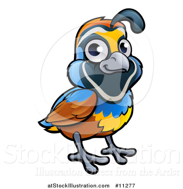 Vector Illustration of a Cartoon California Quail Bird