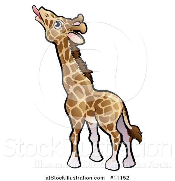 Vector Illustration of a Cartoon Giraffe Reaching with His Tongue
