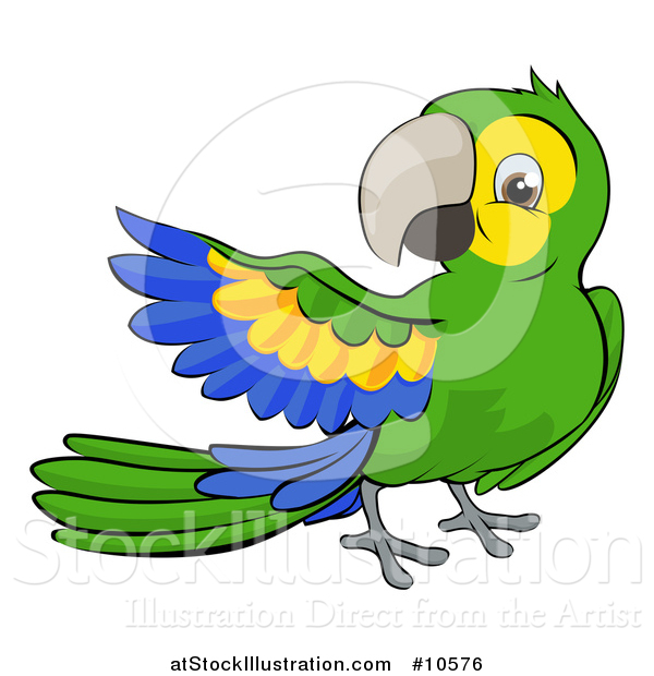 Vector Illustration of a Cartoon Green Macaw Parrot Presenting