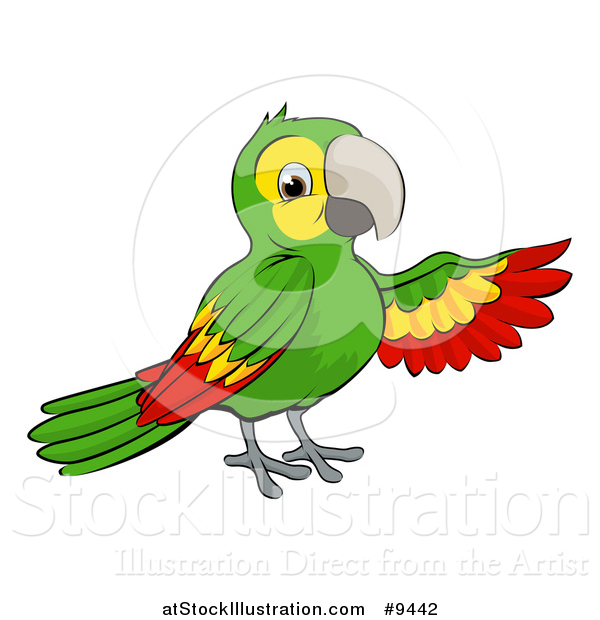 Vector Illustration of a Cartoon Green Macaw Parrot Presenting