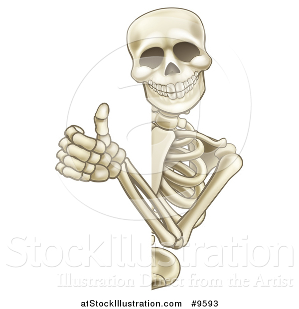 Vector Illustration of a Cartoon Human Skeleton Giving a Thumb up Around a Sign