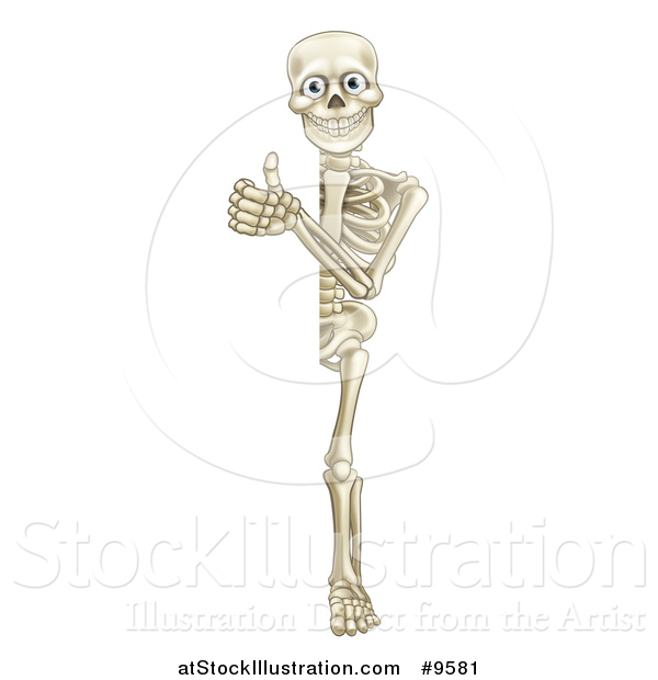 Vector Illustration of a Cartoon Human Skeleton Giving a Thumb up Around Sign