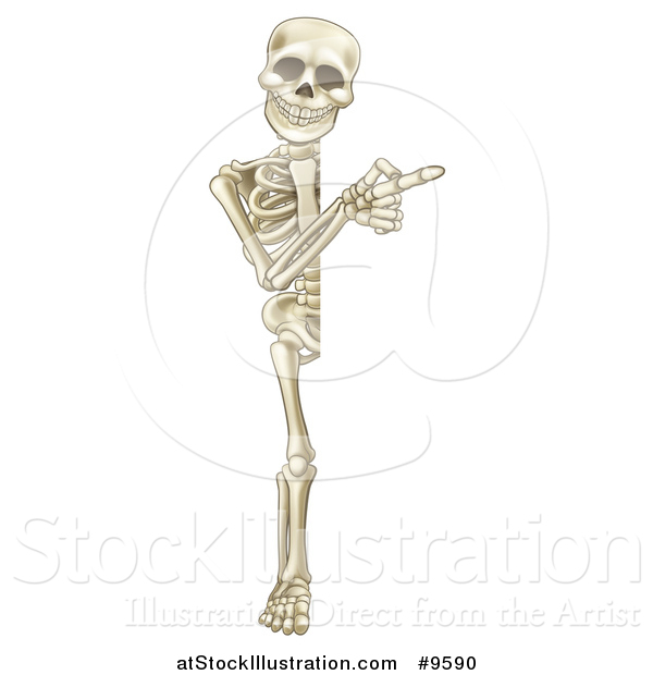 Vector Illustration of a Cartoon Human Skeleton Pointing Around a Sign