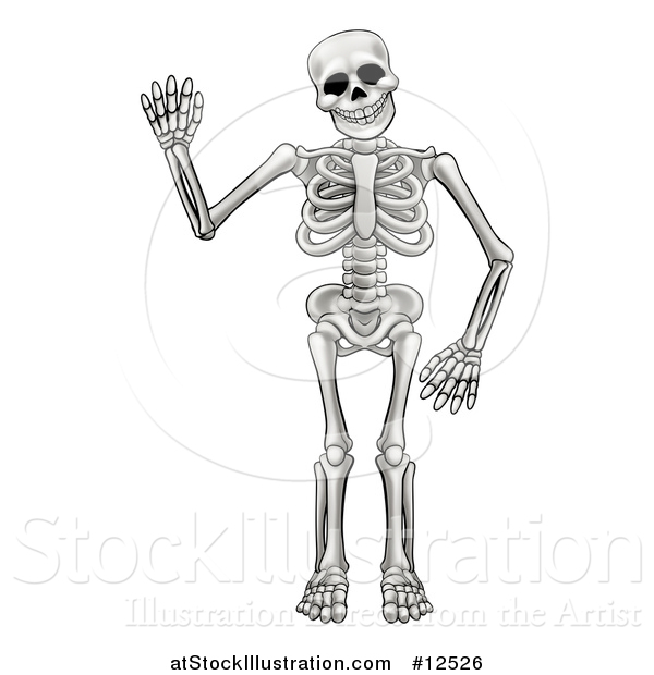 Vector Illustration of a Cartoon Human Skeleton Waving
