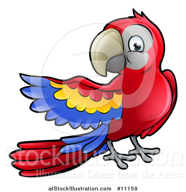 Vector Illustration of a Cartoon Scarlet Macaw Parrot Presenting to the Left