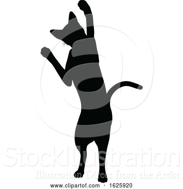 Vector Illustration of a Cat Silhouette