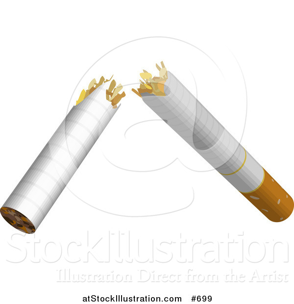 Vector Illustration of a Cigarette Broken in Half, Quit Smoking