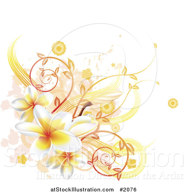 Vector Illustration of a Corner Design Element of Plumeria Flowers, Vines and Grunge