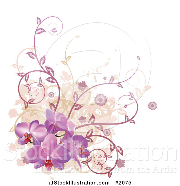 Vector Illustration of a Corner Design Element of Purple Orchid Flowers, Vines and Grunge