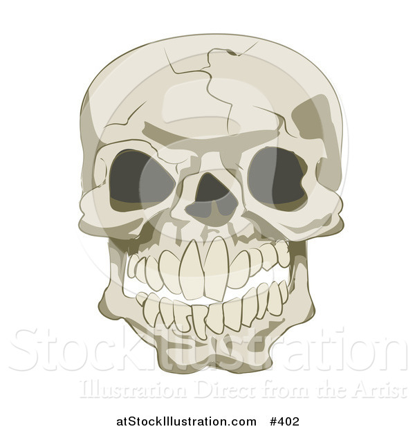 Vector Illustration of a Cracked Human Skull