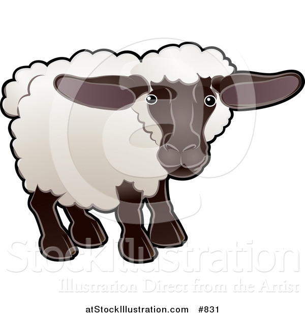 Vector Illustration of a Cute Female Sheep, an Ewe, with White Fleece, a Black Face and Legs