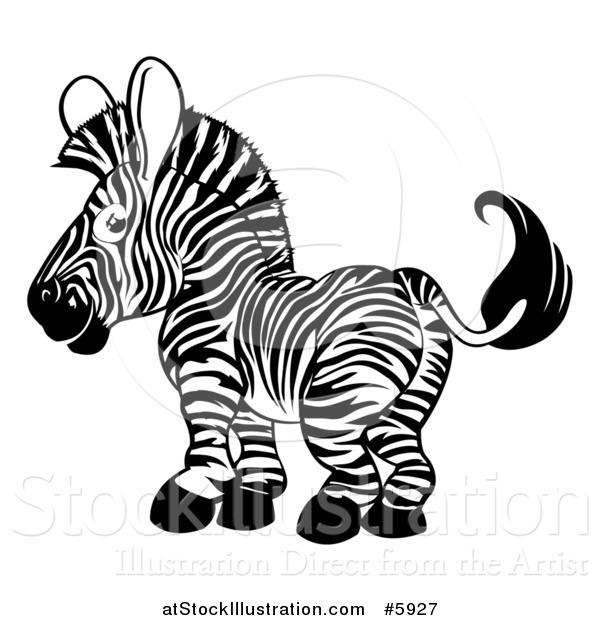 Vector Illustration of a Cute Happy Black and White Zebra Looking Back