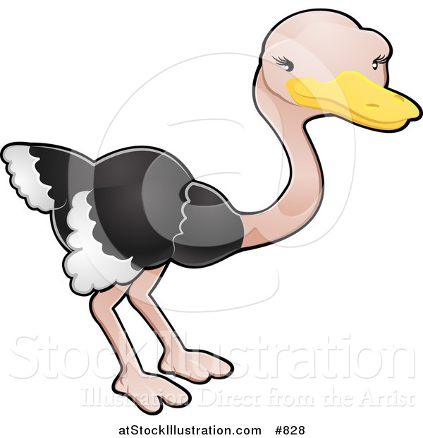 Vector Illustration of a Cute Ostrich Bird with Black and White Feathers