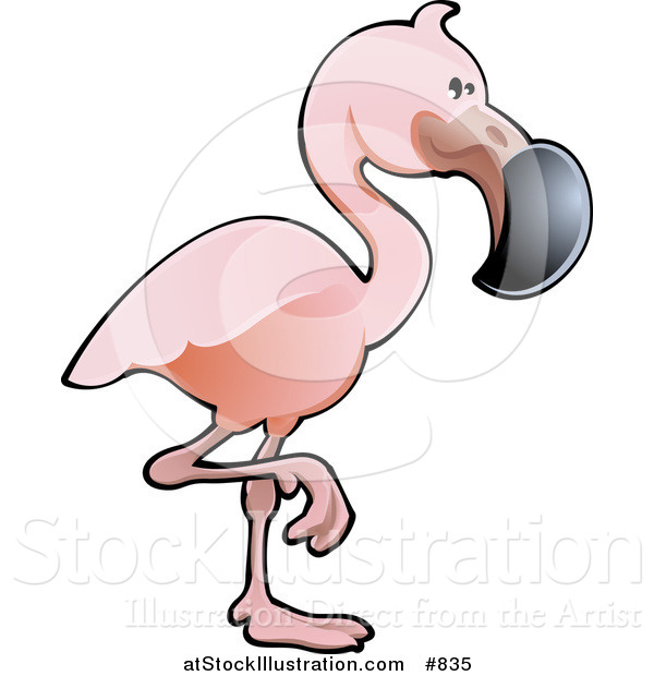 Vector Illustration of a Cute Pink Flamingo Bird with a Black Beak, Standing on One Leg