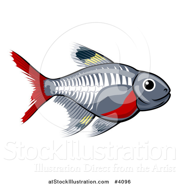 Vector Illustration of a Cute X-ray Tetra Freshwater Fish