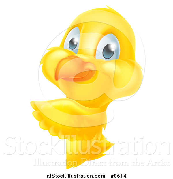 Vector Illustration of a Cute Yellow Easter Chick Pointing Around a Sign