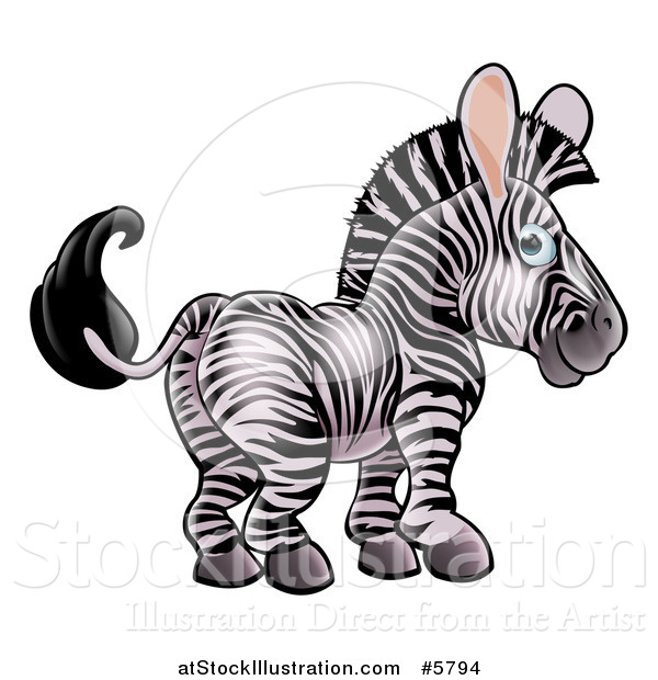 Vector Illustration of a Cute Zebra Looking Back