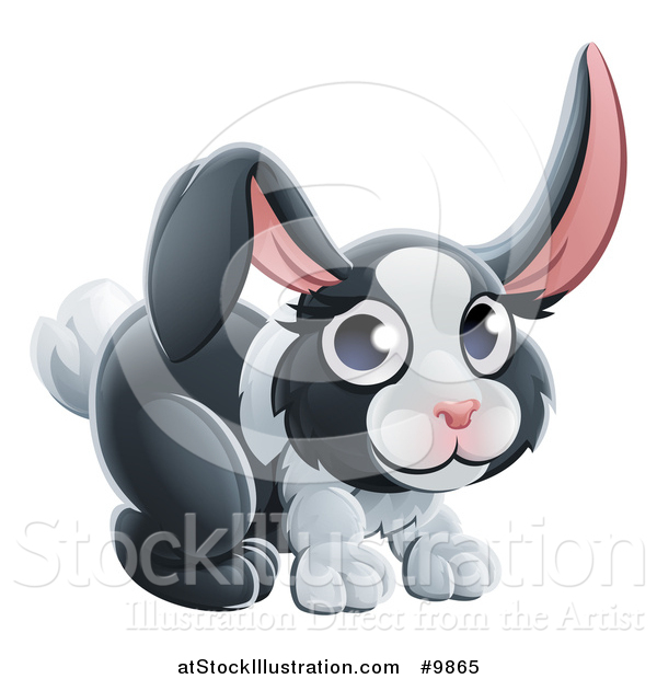 Vector Illustration of a Dutch Bunny Rabbit