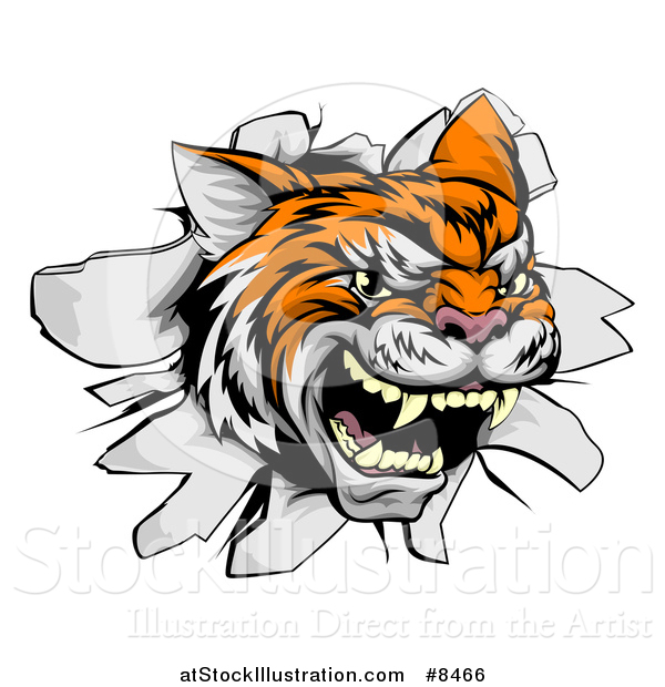 Vector Illustration of a Ferocious Tiger Mascot Head Breaking Through a Wall