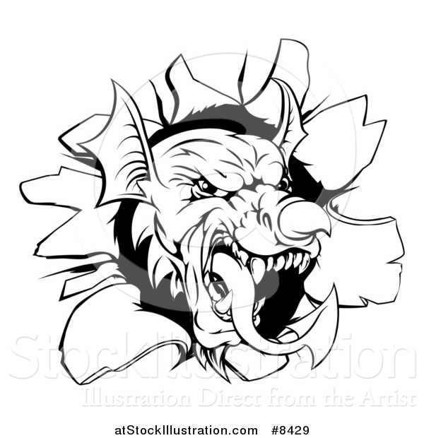 Vector Illustration of a Fierce Black and White Welsh Dragon Mascot Head Breaking Through a Wall