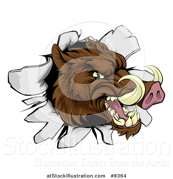 Vector Illustration of a Fierce Brown Boar Head Breaking Through a Wall