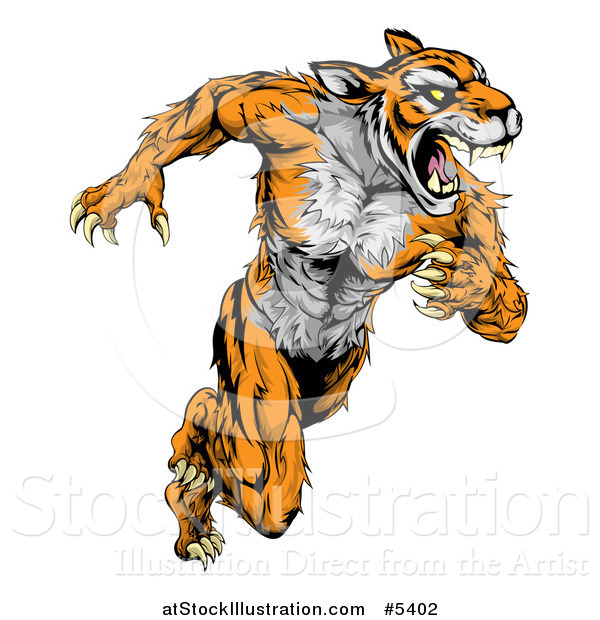 Vector Illustration of a Fierce Muscular Running Tiger Mascot