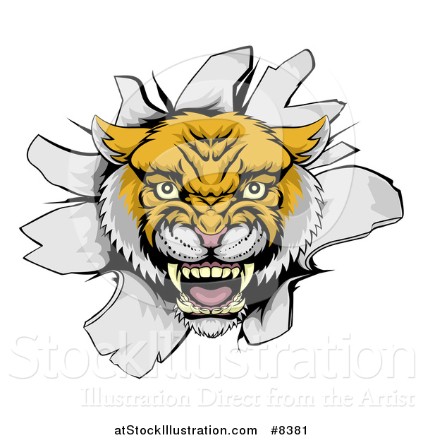 Vector Illustration of a Fierce Wildcat Mascot Head Roaring and Breaking Through a Wall