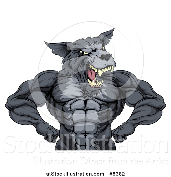 Vector Illustration of a Firece Muscular Gray Wolf Man Mascot Flexing, from the Waist up