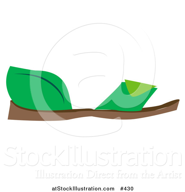 Vector Illustration of a Flat Green Sandals