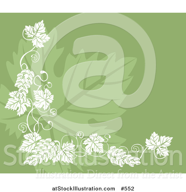 Vector Illustration of a Grapevine Accent over a Grape Leaf on Green