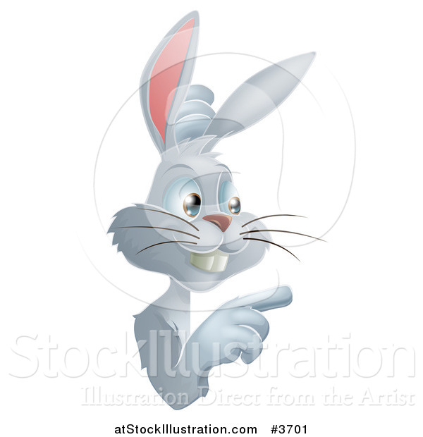 Vector Illustration of a Gray Bunny Pointing to a Sign