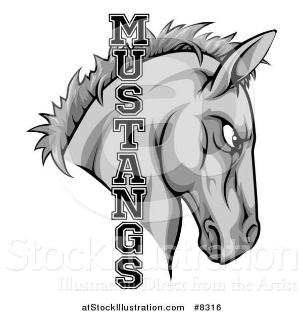 Vector Illustration of a Gray Mustang Horse Mascot with Text