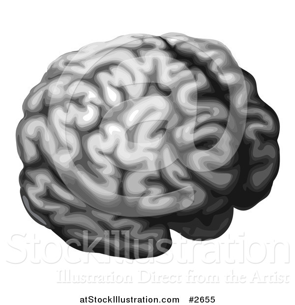 Vector Illustration of a Grayscale Brain