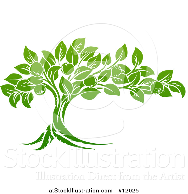 Vector Illustration of a Green Apple Tree