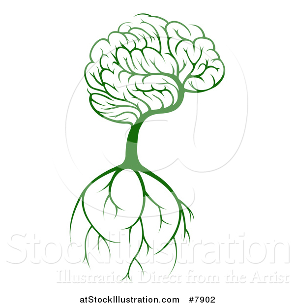 Vector Illustration of a Green Knowledge Brain Canopied Tree with Roots