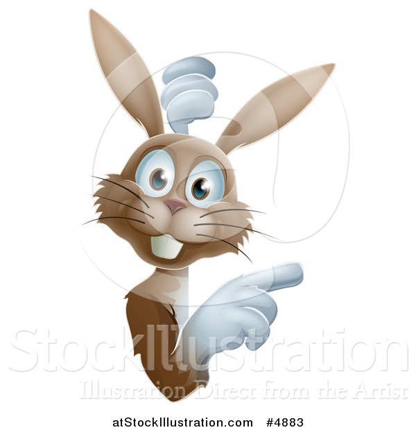 Vector Illustration of a Happy Brown Bunny Rabbit Looking Around and Pointing at a Sign