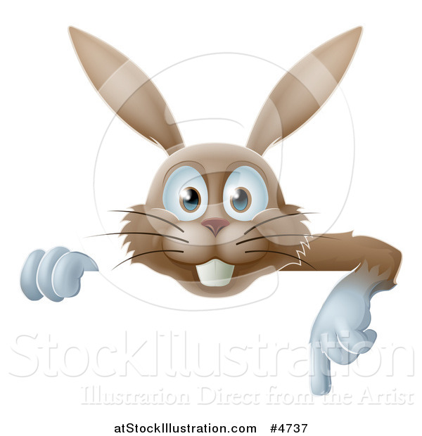 Vector Illustration of a Happy Brown Rabbit Pointing down at a Sign