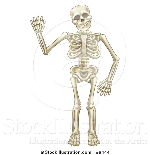 Vector Illustration of a Happy Cartoon Skeleton Character Waving