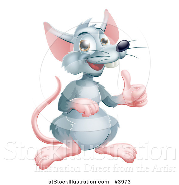 Vector Illustration of a Happy Gray Rat Mascot Holding a Thumb up