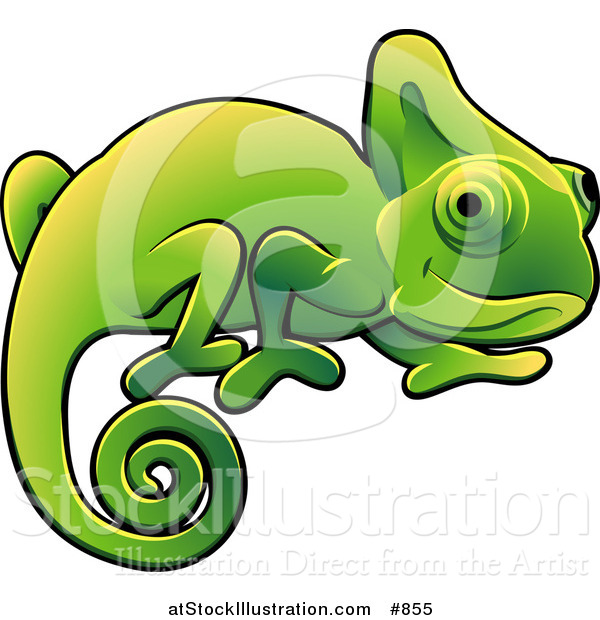 Vector Illustration of a Happy Green Chameleon Lizard with a Curled Tail Clipart Illustration Image